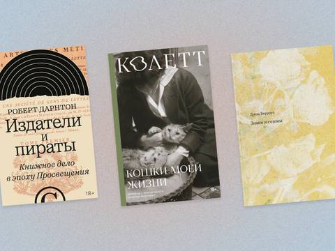 Колетт, Пинчон и Пэтчетт: книжные новинки октября
