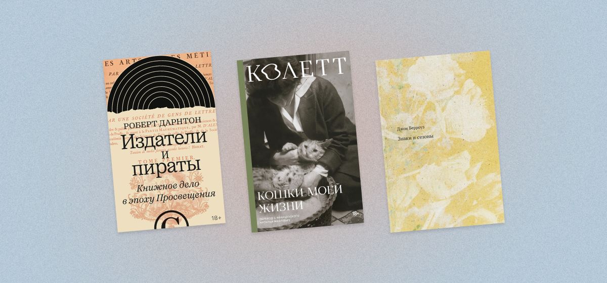 Колетт, Пинчон и Пэтчетт: книжные новинки октября