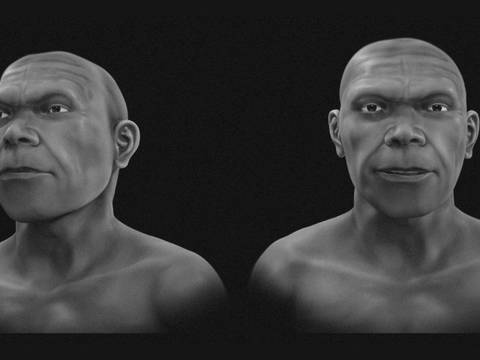 Учёные показали, как могли выглядеть наши далёкие предки — «ранние Homo sapiens»