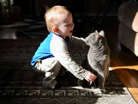 Исследование: наличие кошки может негативно влиять на детскую психику