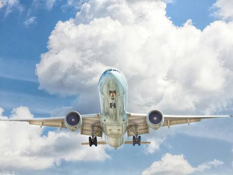 Пара влюблённых из США сыграла свадьбу на борту самолёта