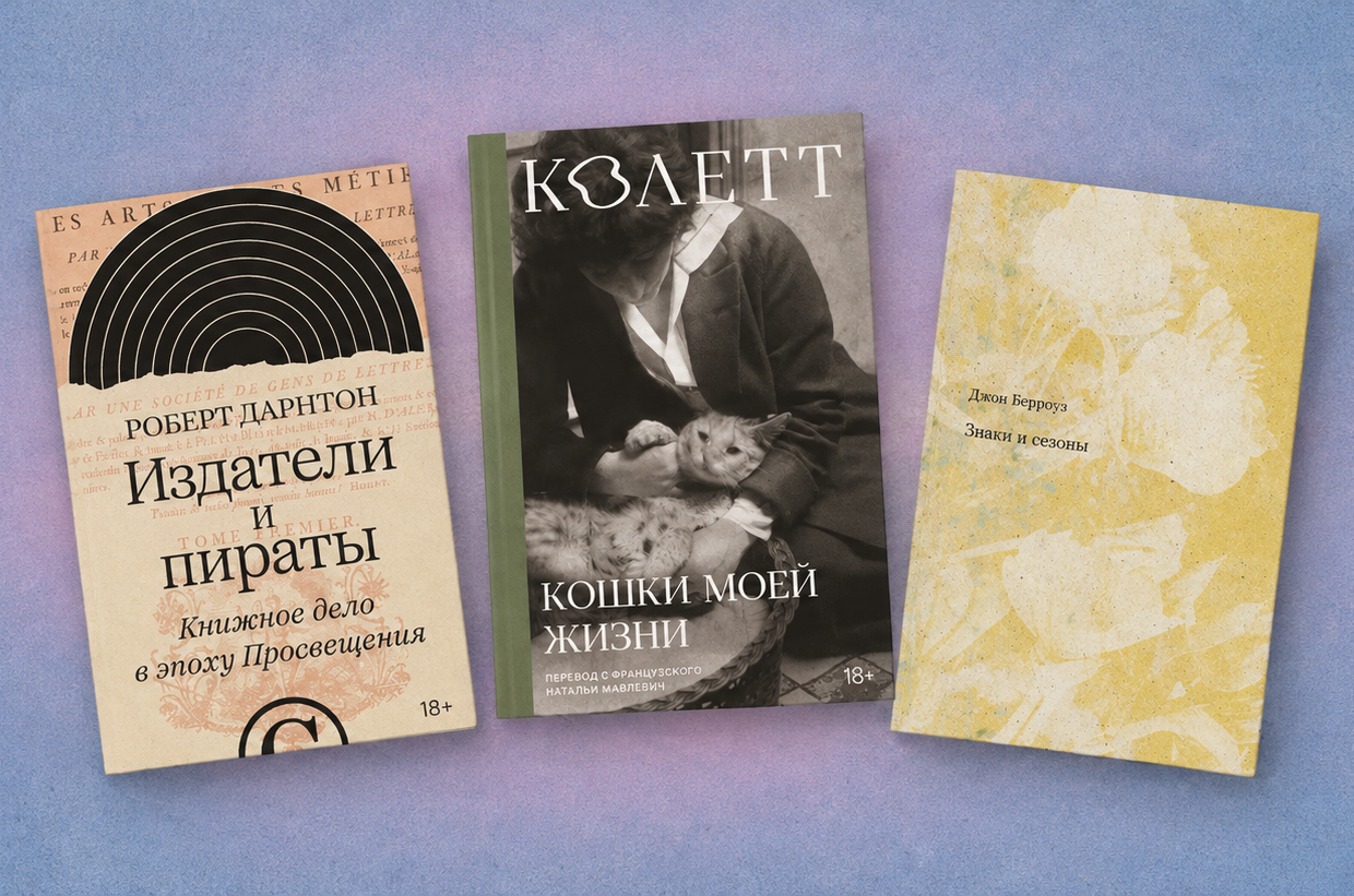 Колетт, Пинчон и Пэтчетт: книжные новинки октября