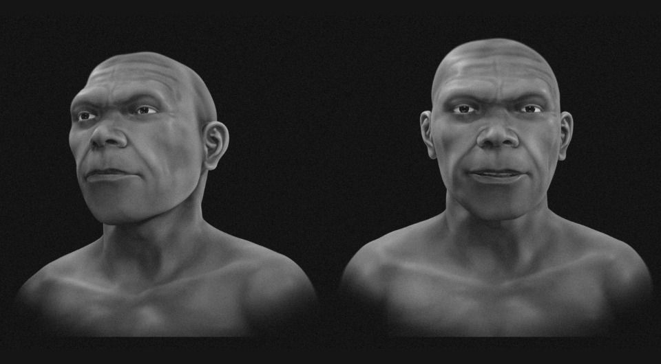 Homo sapiens, человек разумный, древние люди, антропология, внешний вид, лицо, портрет, 3Д-визуализация